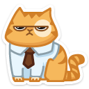 cat14 {cat14} {cat14}