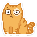 cat22 {cat22} {cat22}