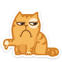 cat23 {cat23} {cat23}