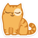 cat24 {cat24} {cat24}