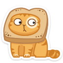 cat37 {cat37} {cat37}