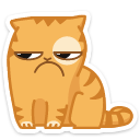 cat41 {cat41} {cat41}